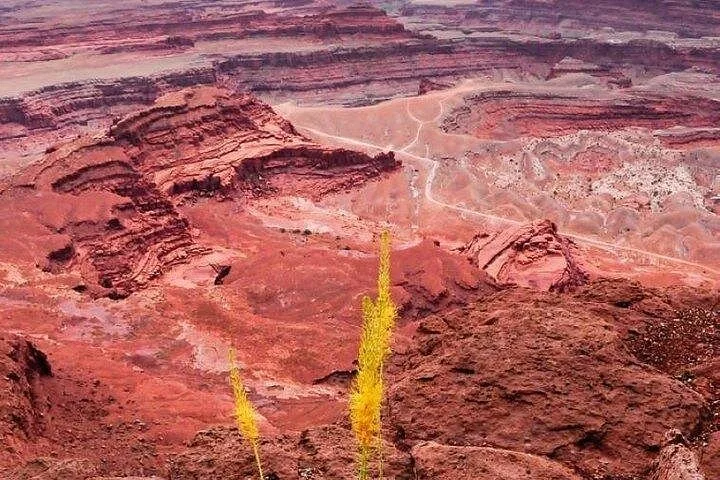 Foto del tour